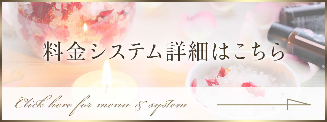 料金システムはこちら
