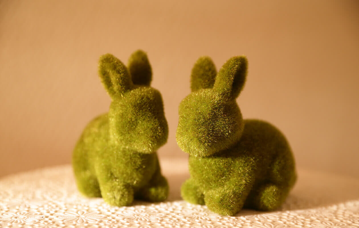 お着換え/お見送り